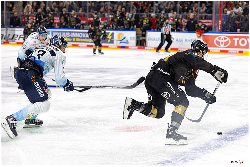 PENNY DEL;  Kölner Haie - ERC Ingolstadt; Köln, 25.11.2022